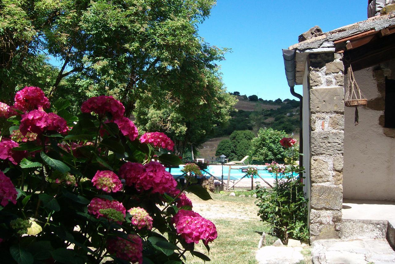 Agriturismo La Guinza Arcidosso Exterior foto