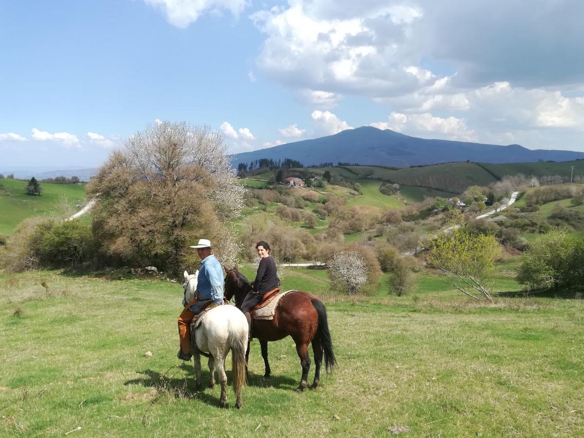 Agriturismo La Guinza Arcidosso Exterior foto